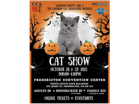 Fredericton Cat Show 2023 E 
