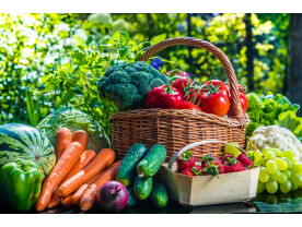 AdobeStock 367102862