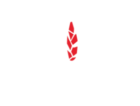 NSMTC Logo White 300x140