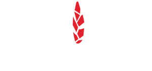 NSMTC Logo White 300x140